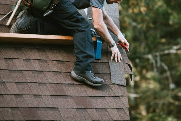 Best Roof Gutter Cleaning  in Wise, VA